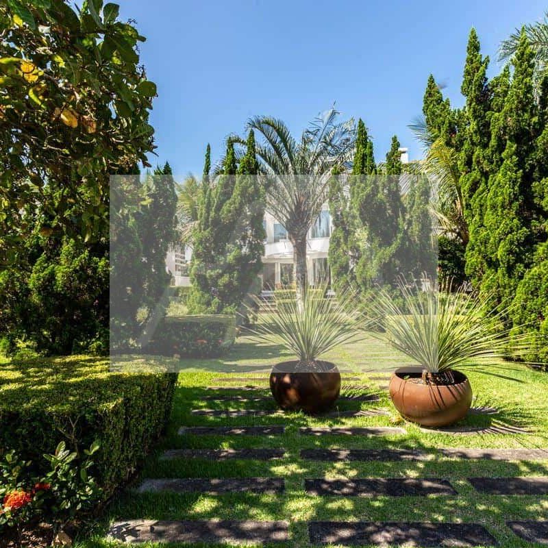 c65d10ee-7e74-4ac0-afc5-7fbaab9b5c11